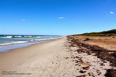 canaveral national seashore nude beach|Beach Guide: Canaveral National Seashore